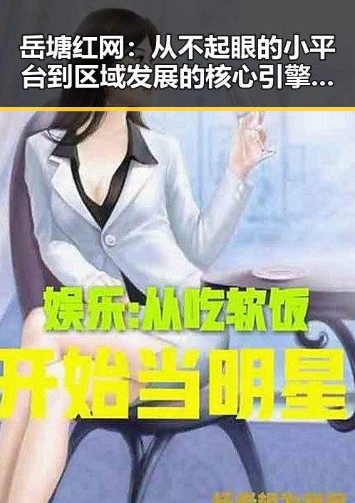 岳塘红网：从不起眼的小平台到区域发展的核心引擎，反差之中隐藏的秘密