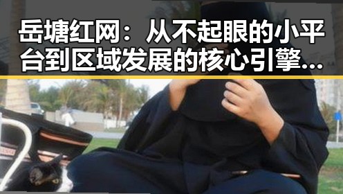岳塘红网：从不起眼的小平台到区域发展的核心引擎，反差之中隐藏的秘密