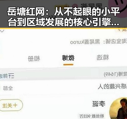 岳塘红网：从不起眼的小平台到区域发展的核心引擎，反差之中隐藏的秘密